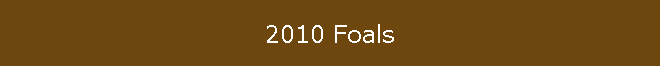 2010 Foals