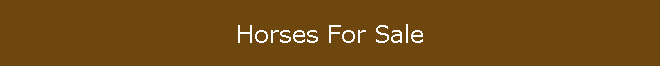 Horses For Sale